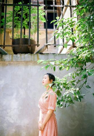 最好看的2019年中文视频